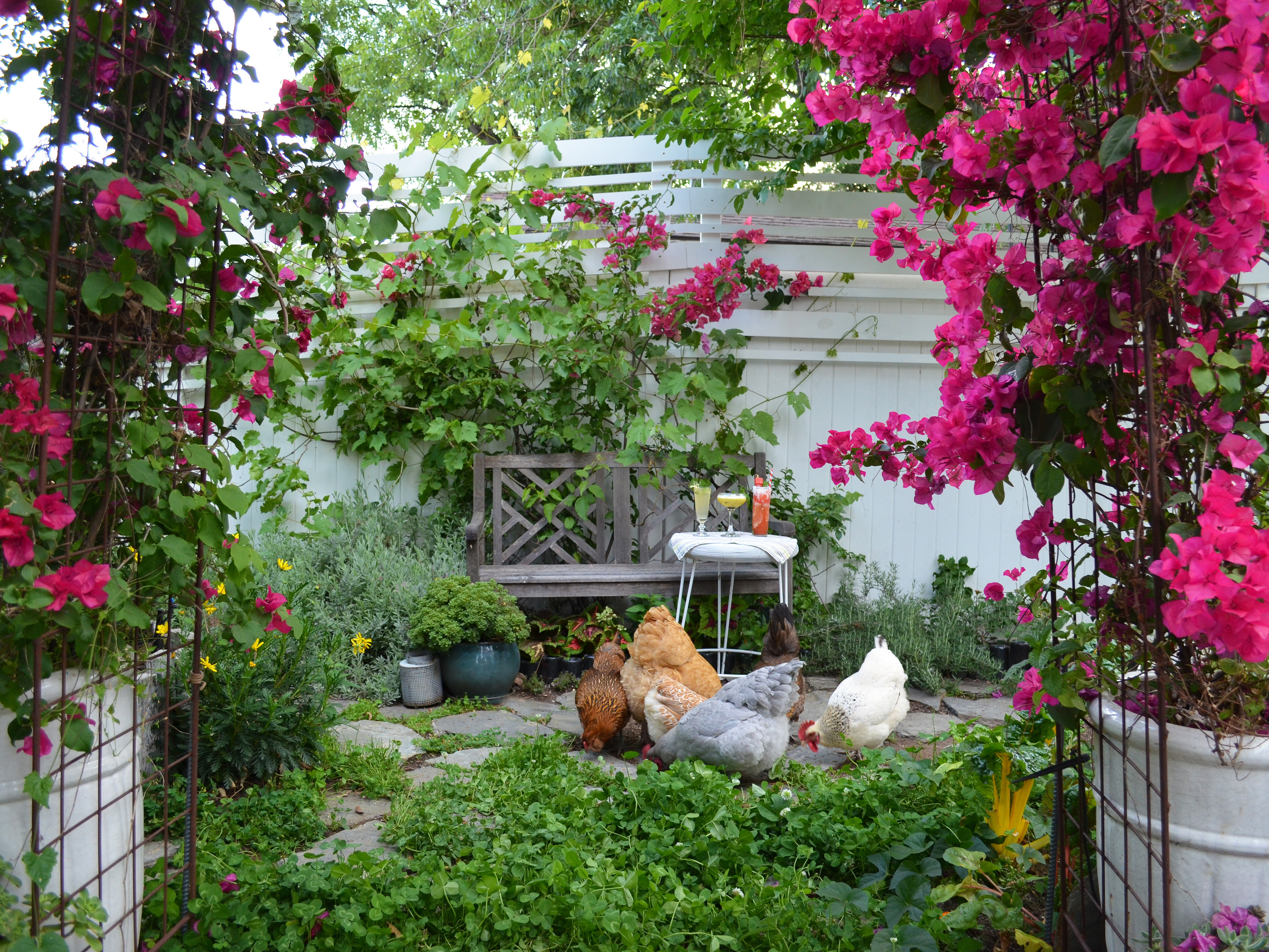 How To Grow A Cocktail Garden Genius Kitchen